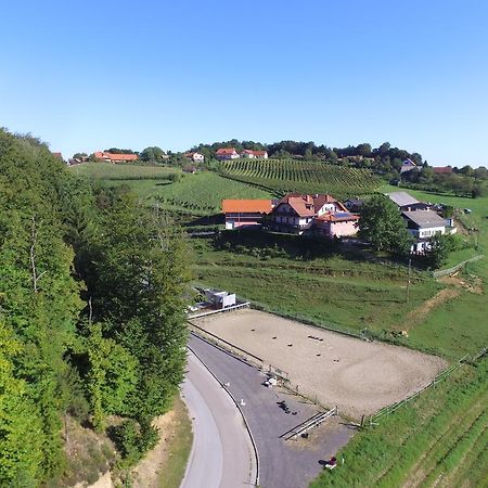 Guesthouse Kaučič Benedikt v Slovenskih Goricah Extérieur photo