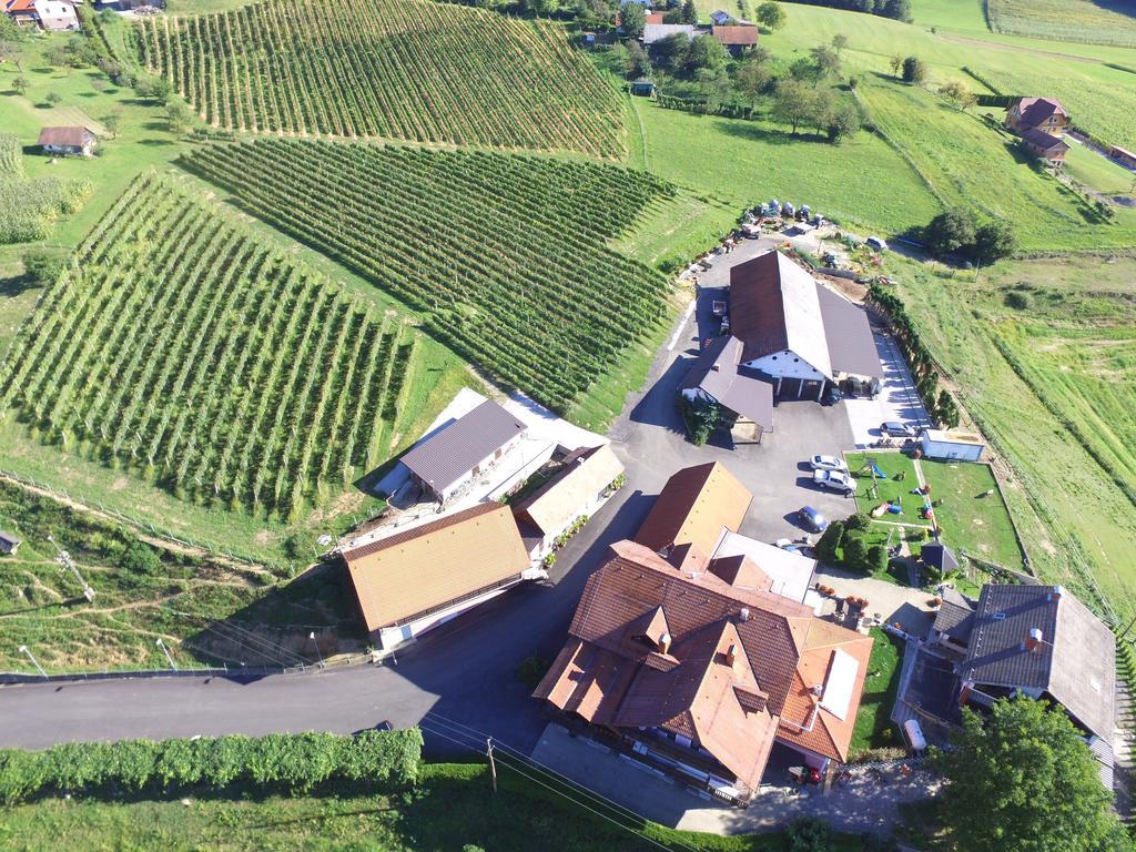 Guesthouse Kaučič Benedikt v Slovenskih Goricah Extérieur photo