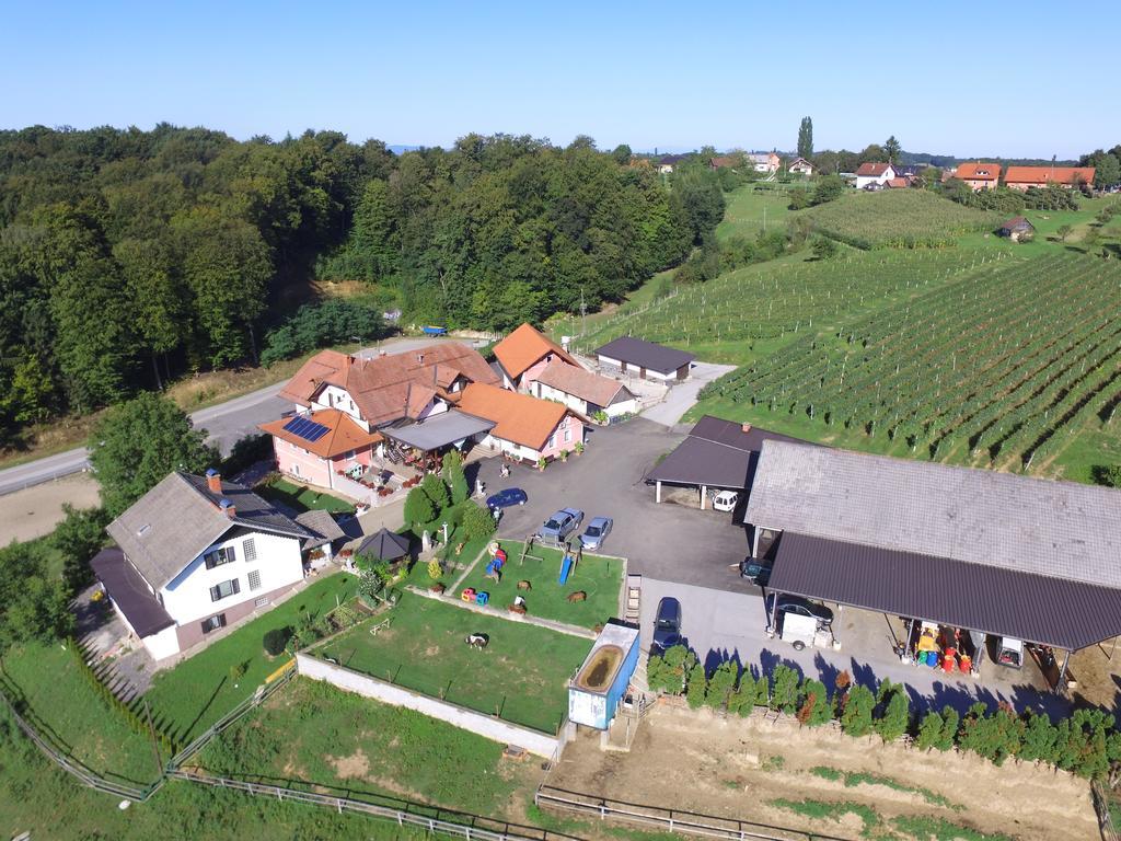 Guesthouse Kaučič Benedikt v Slovenskih Goricah Extérieur photo